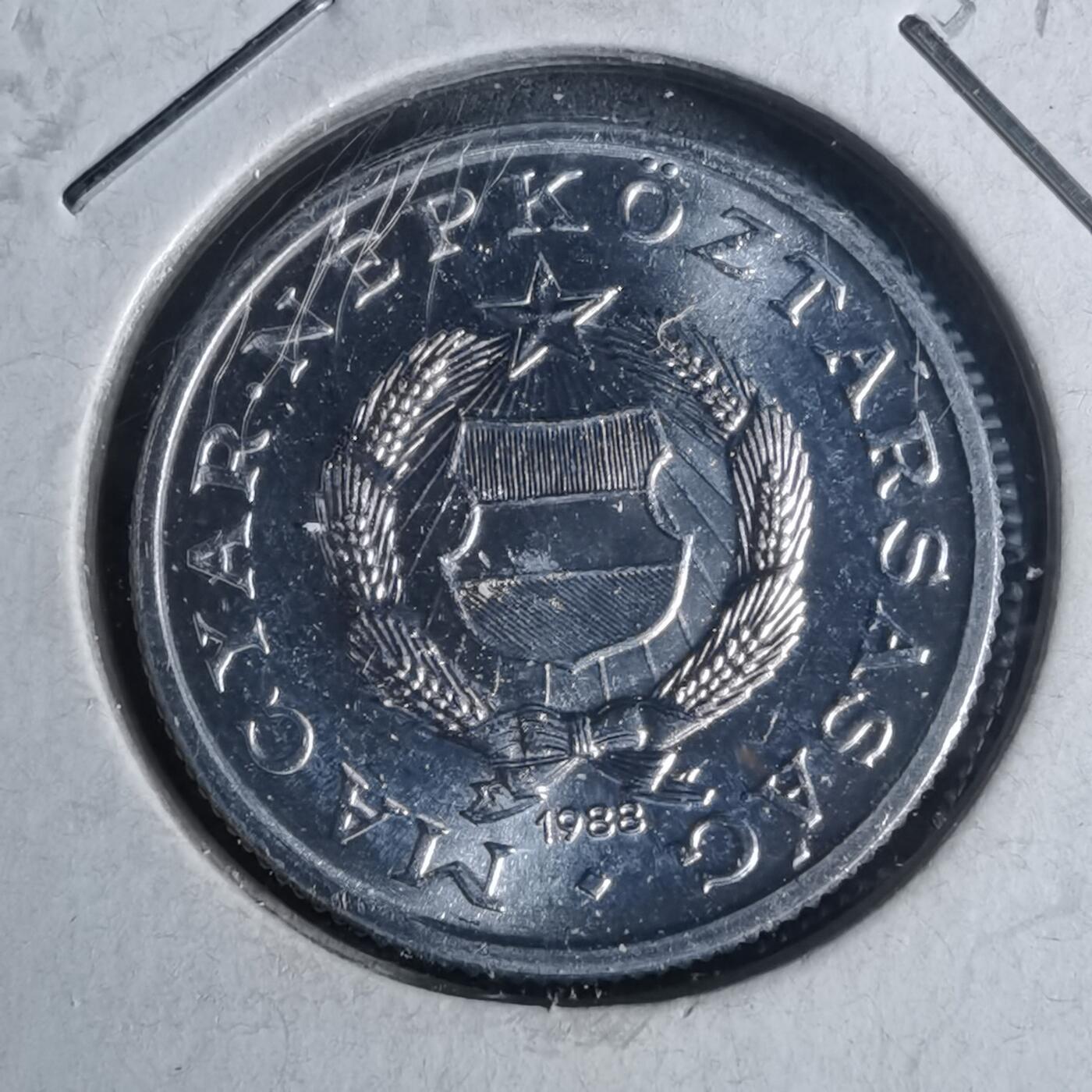 沼泽如烟--第954场