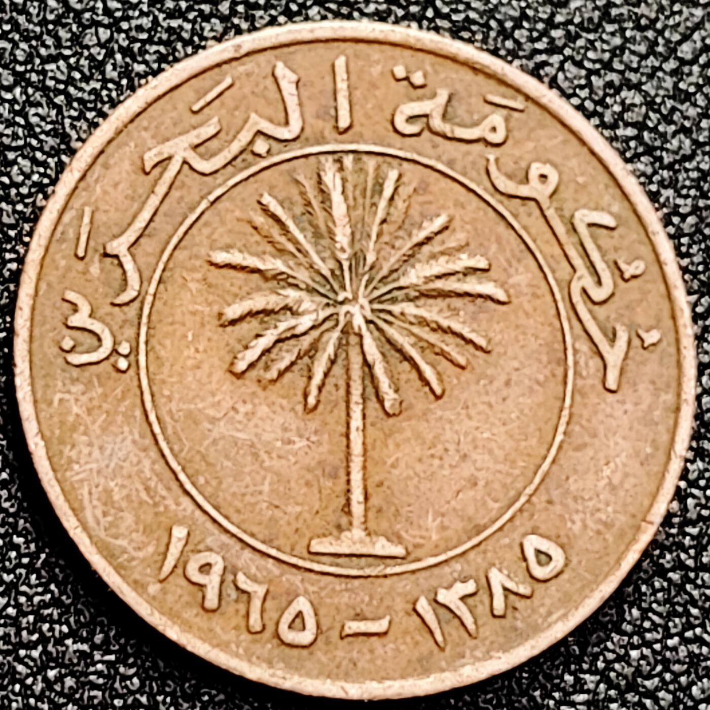 泉币菌-第166场- 新年第九场 精品福利场 。