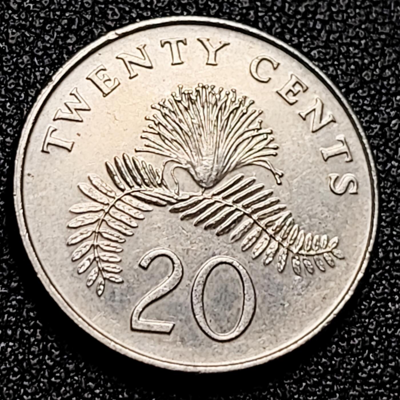 泉币菌-第166场- 新年第九场 精品福利场 。