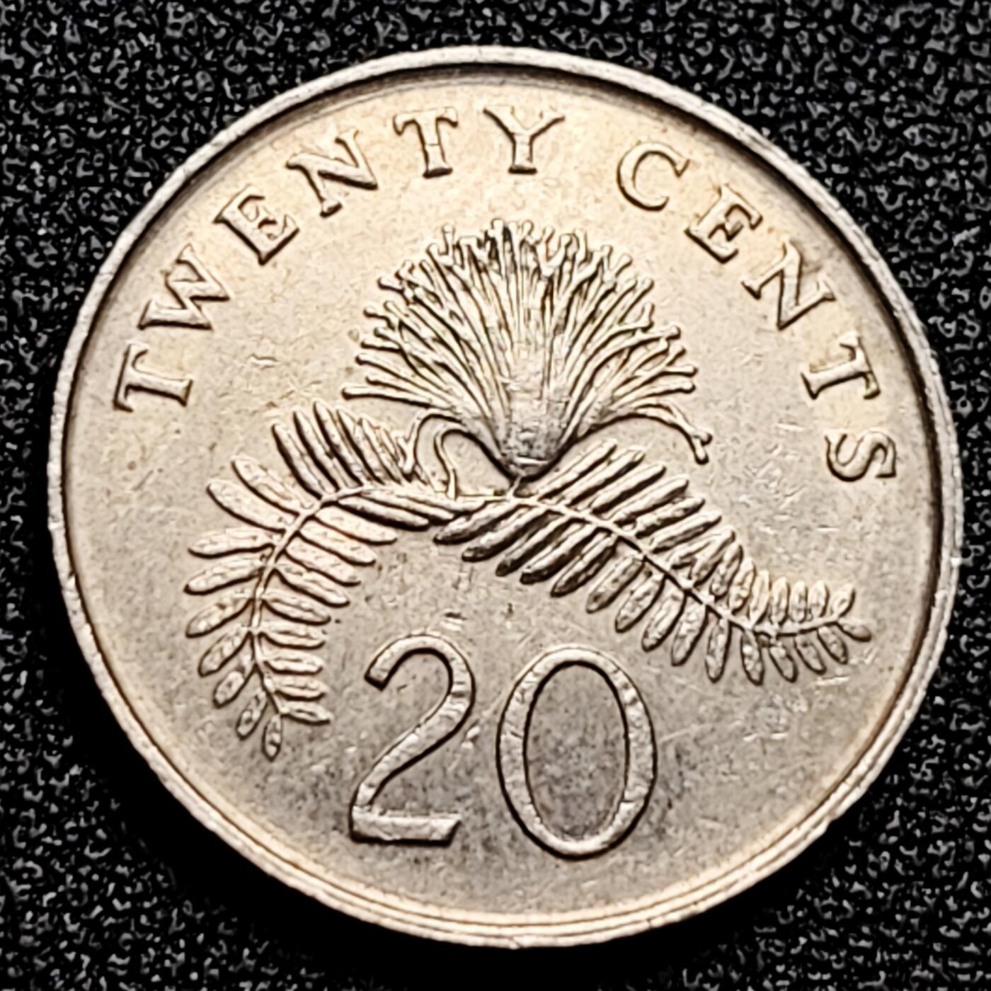 泉币菌-第166场- 新年第九场 精品福利场 。