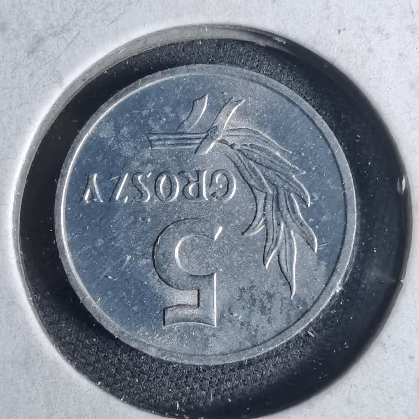 沼泽如烟--第954场