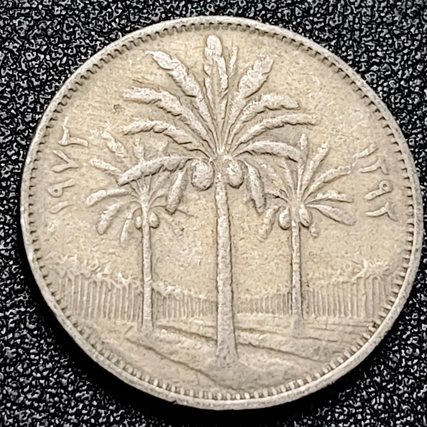 泉币菌-第167场- 精品福利场 。