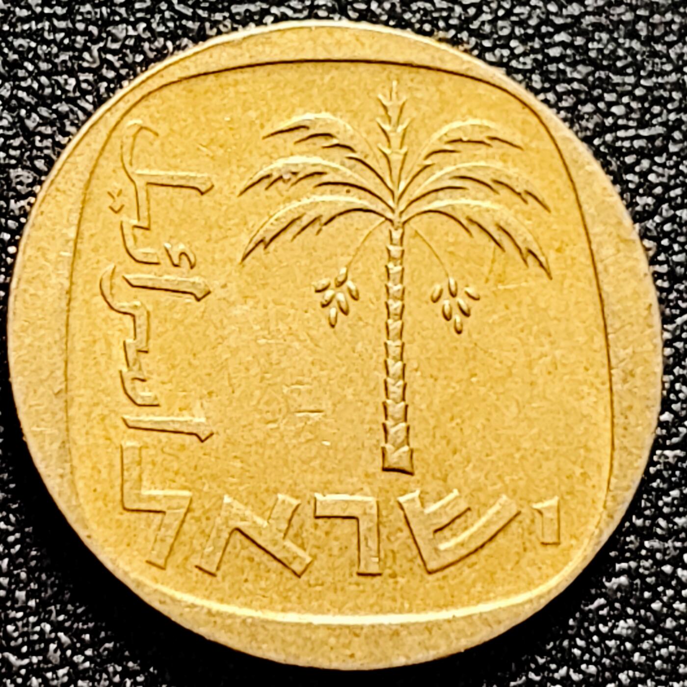 泉币菌-第166场- 新年第九场 精品福利场 。