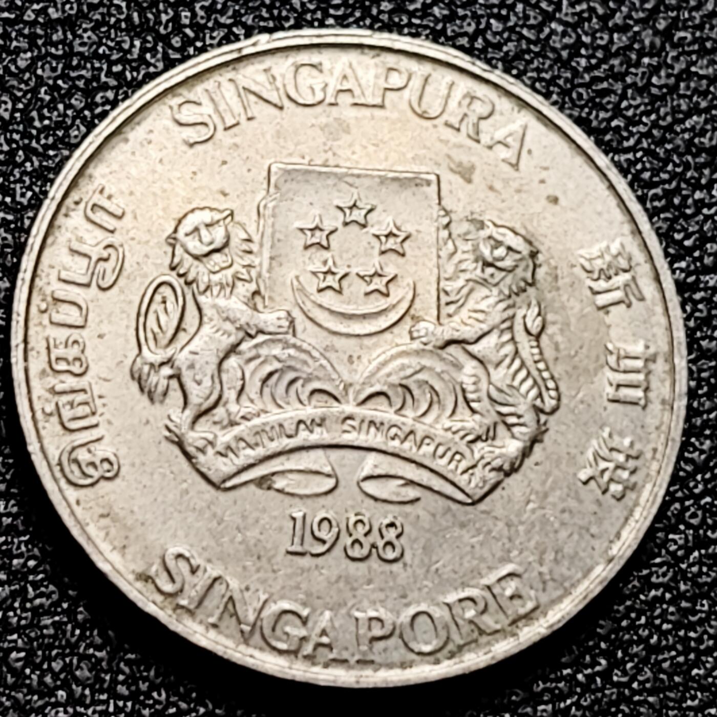 泉币菌-第166场- 新年第九场 精品福利场 。