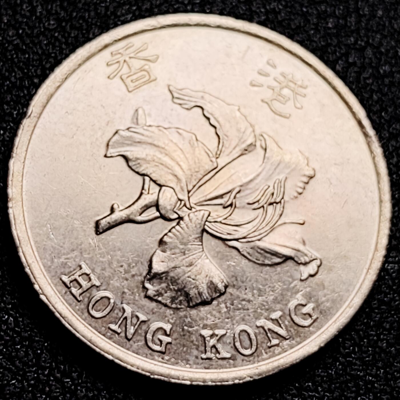 泉币菌-第166场- 新年第九场 精品福利场 。