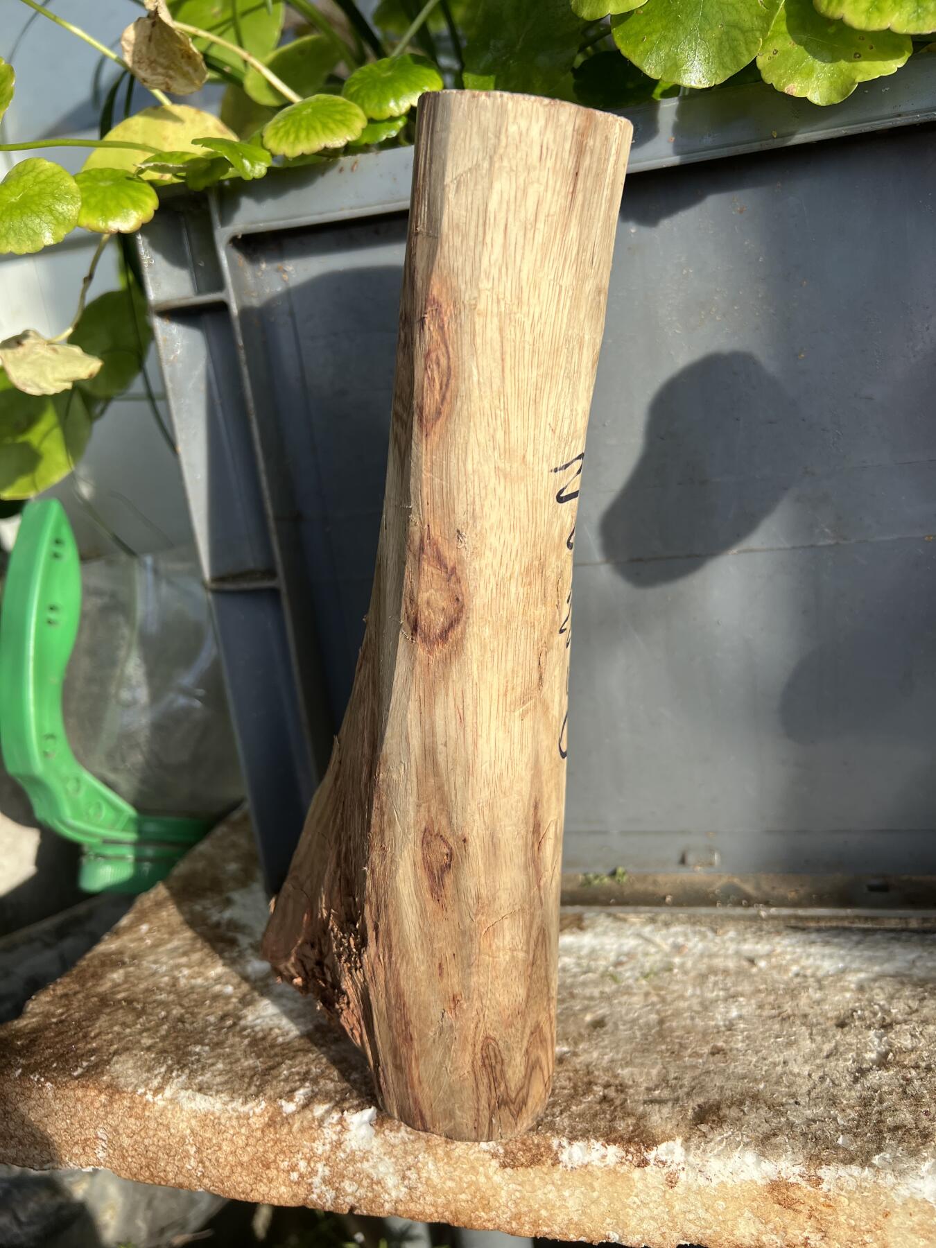 零元拍：  NO.110-6 海南黄花梨原料。尺寸约210/45//95/45MM