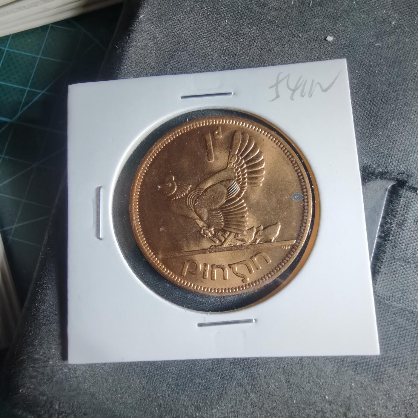 沼泽如烟--第954场