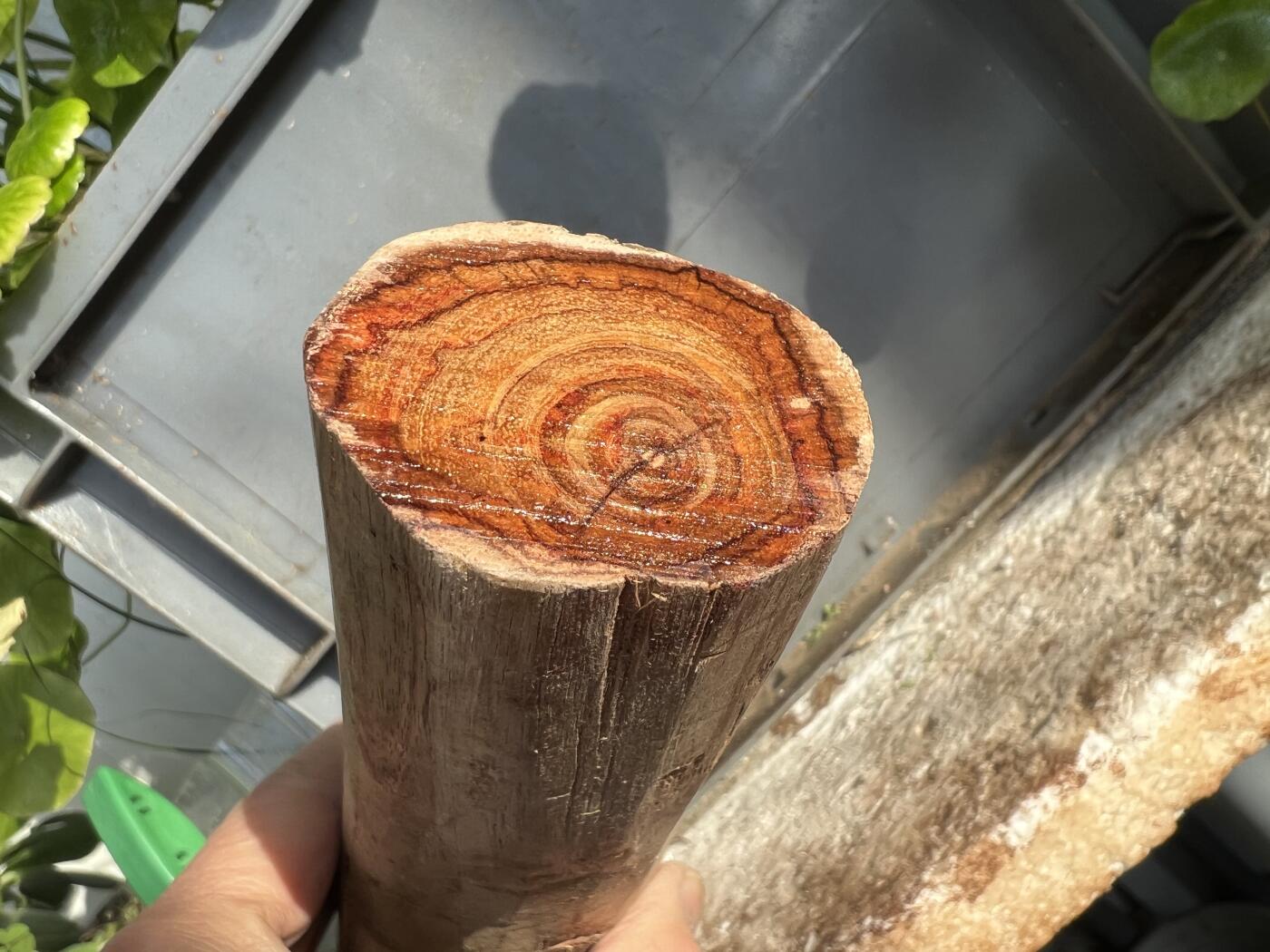 零元拍：  NO.110-6 海南黄花梨原料。尺寸约210/45//95/45MM