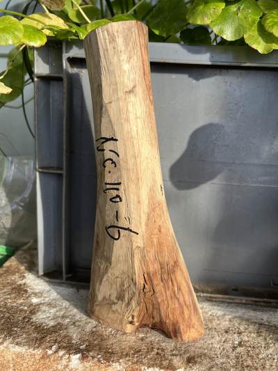 零元拍：  NO.110-6 海南黄花梨原料。尺寸约210/45//95/45MM - 零元拍：  NO.110-6 海南黄花梨原料。尺寸约210/45//95/45MM