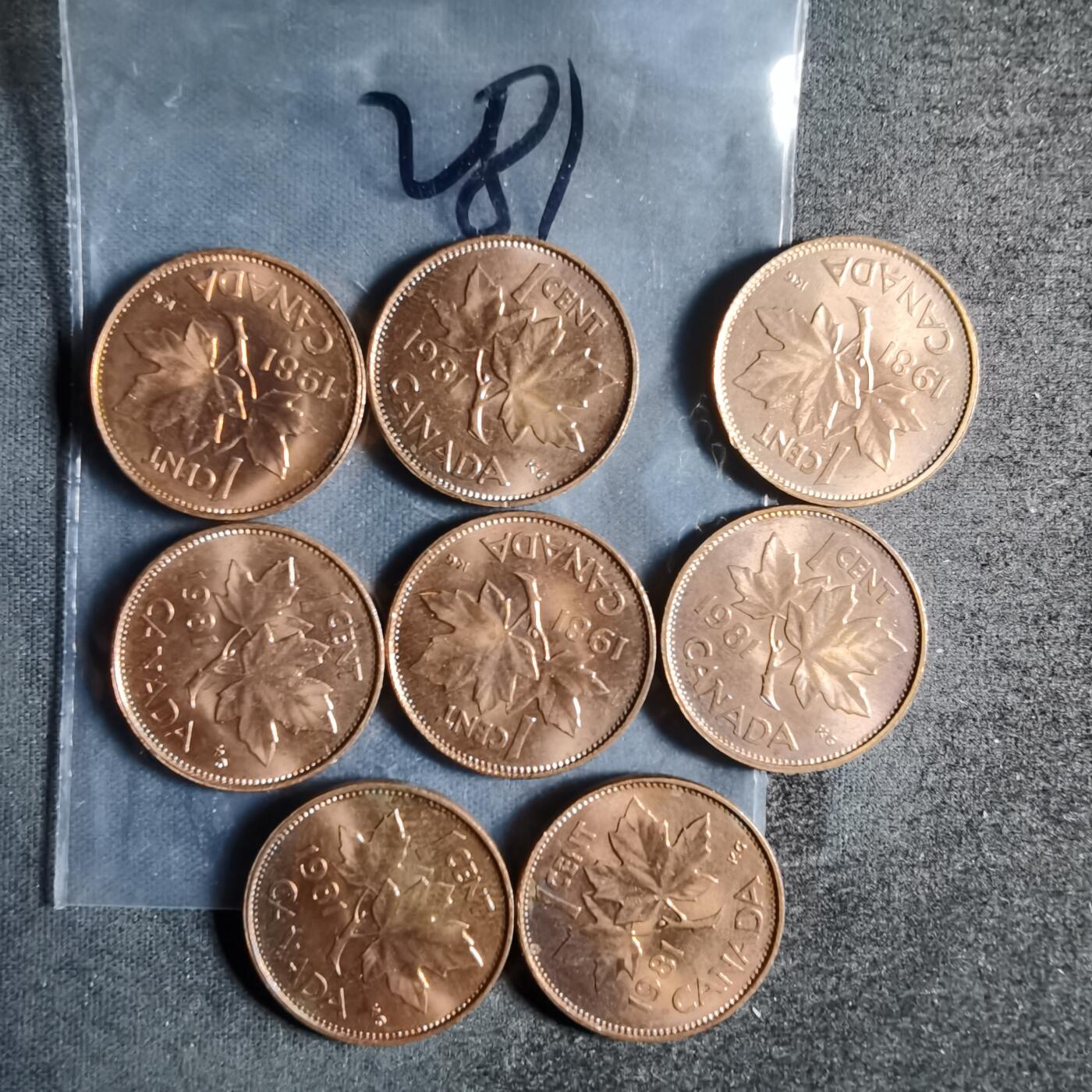 沼泽如烟--第954场