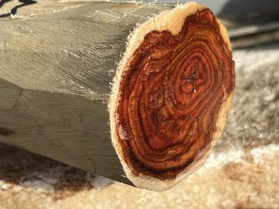 零元拍：  NO.68-3海南黄花梨原料。尺寸约120/50/55MM - 零元拍：  NO.68-3海南黄花梨原料。尺寸约120/50/55MM