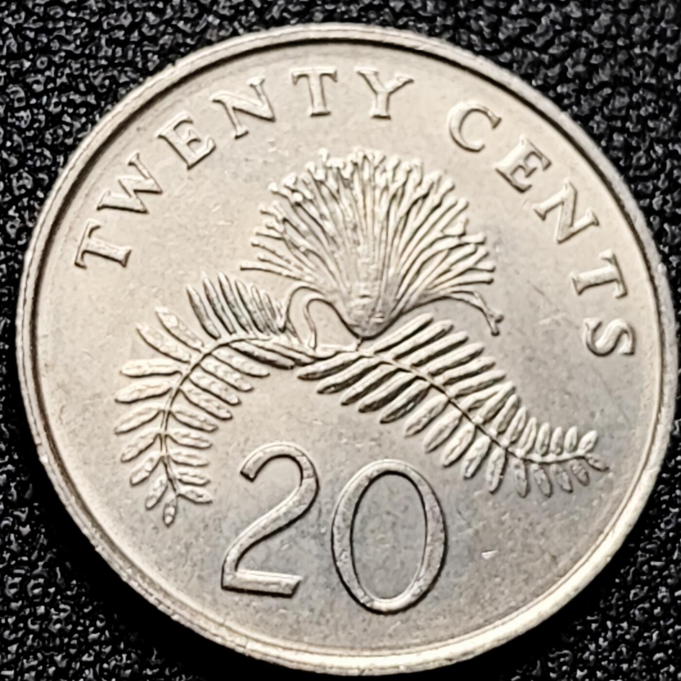 泉币菌-第166场- 新年第九场 精品福利场 。