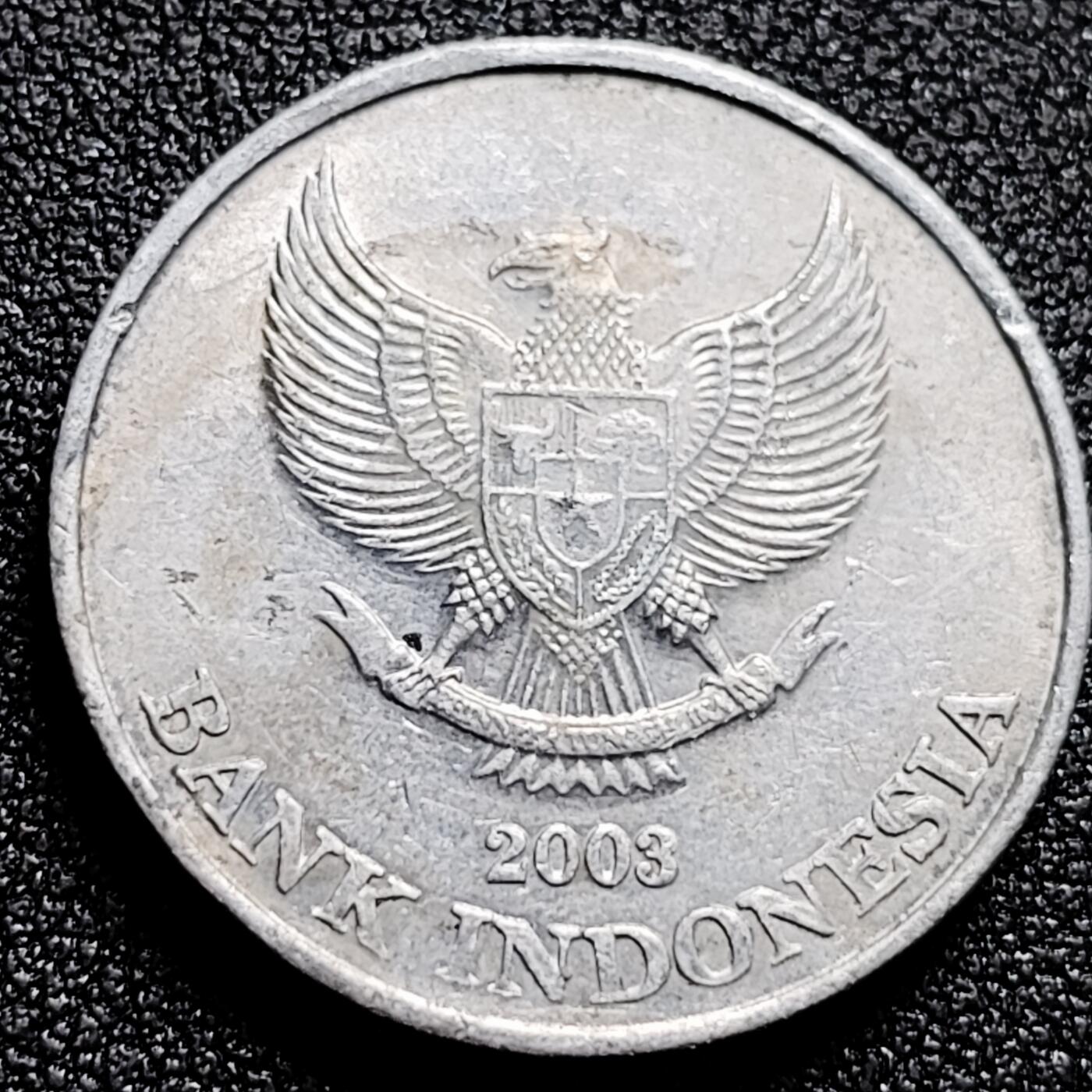 泉币菌-第166场- 新年第九场 精品福利场 。