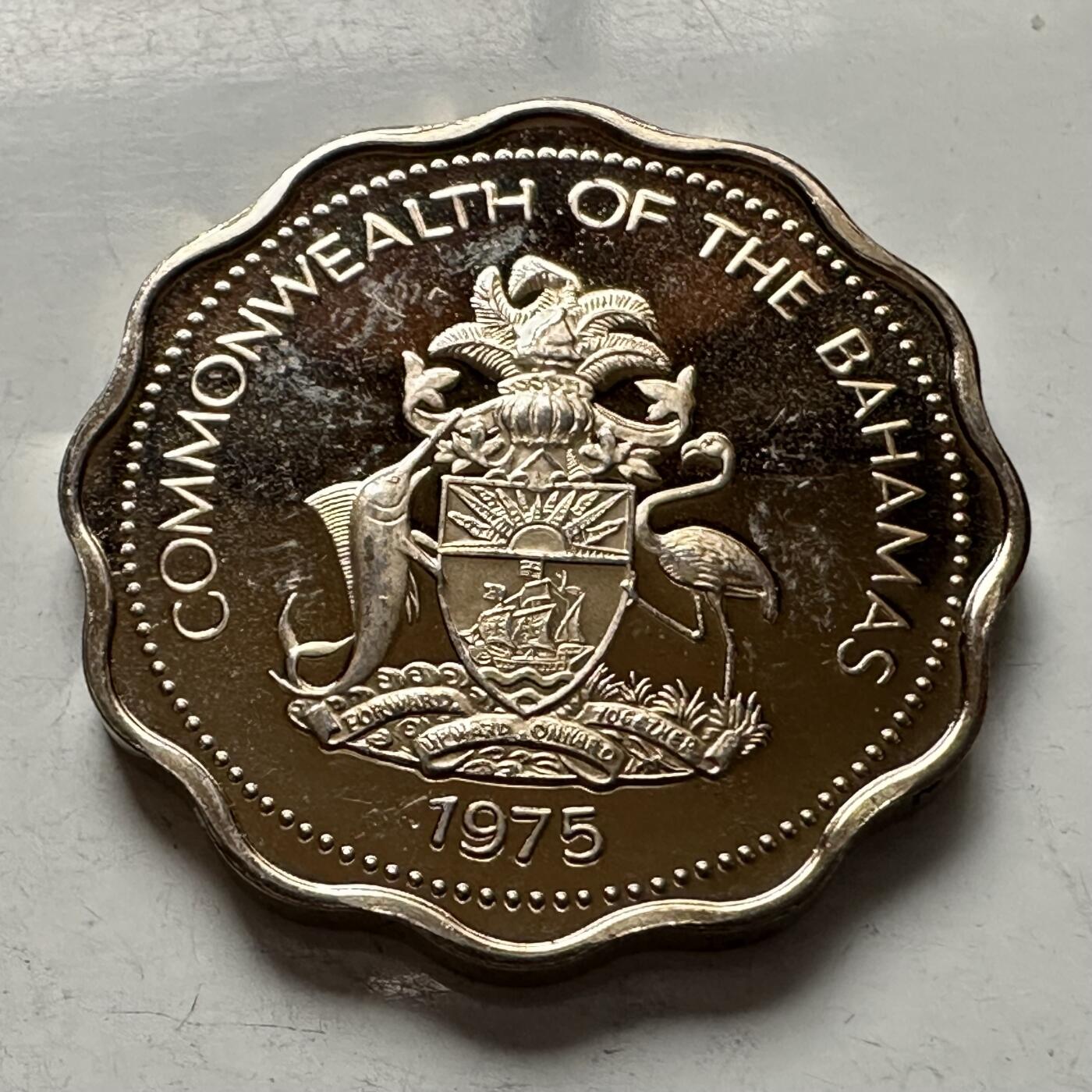 🌹外币初藏🌹🐯2026年第5场  每周二四六晚8️⃣点 接代拍