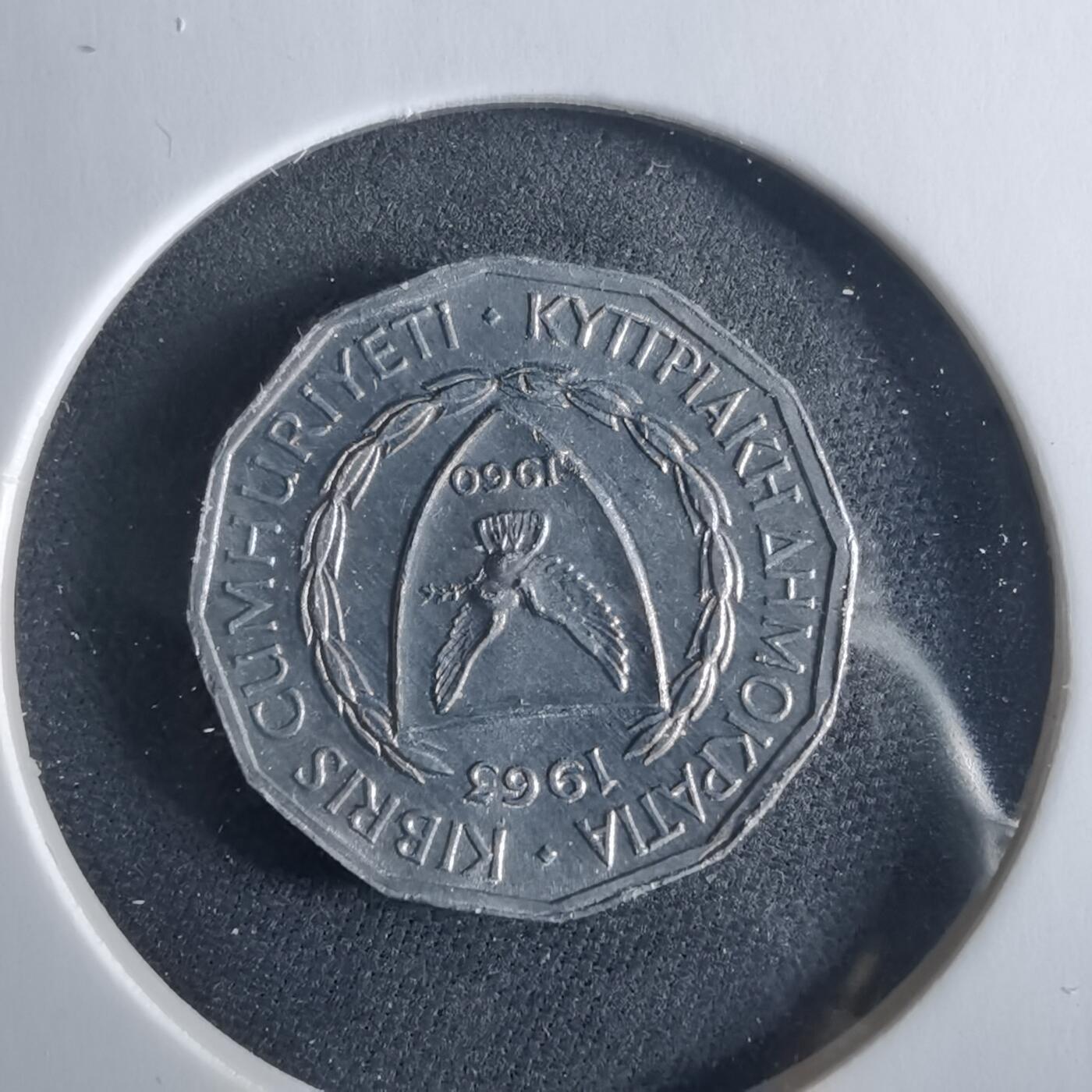 沼泽如烟--第956场