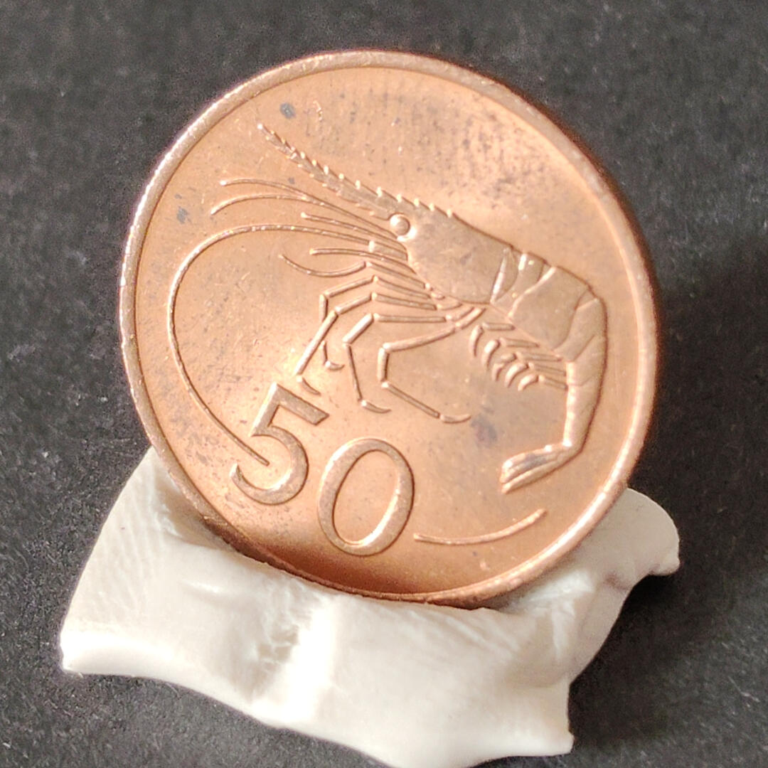 猩哥外币小铺➨【第217场】