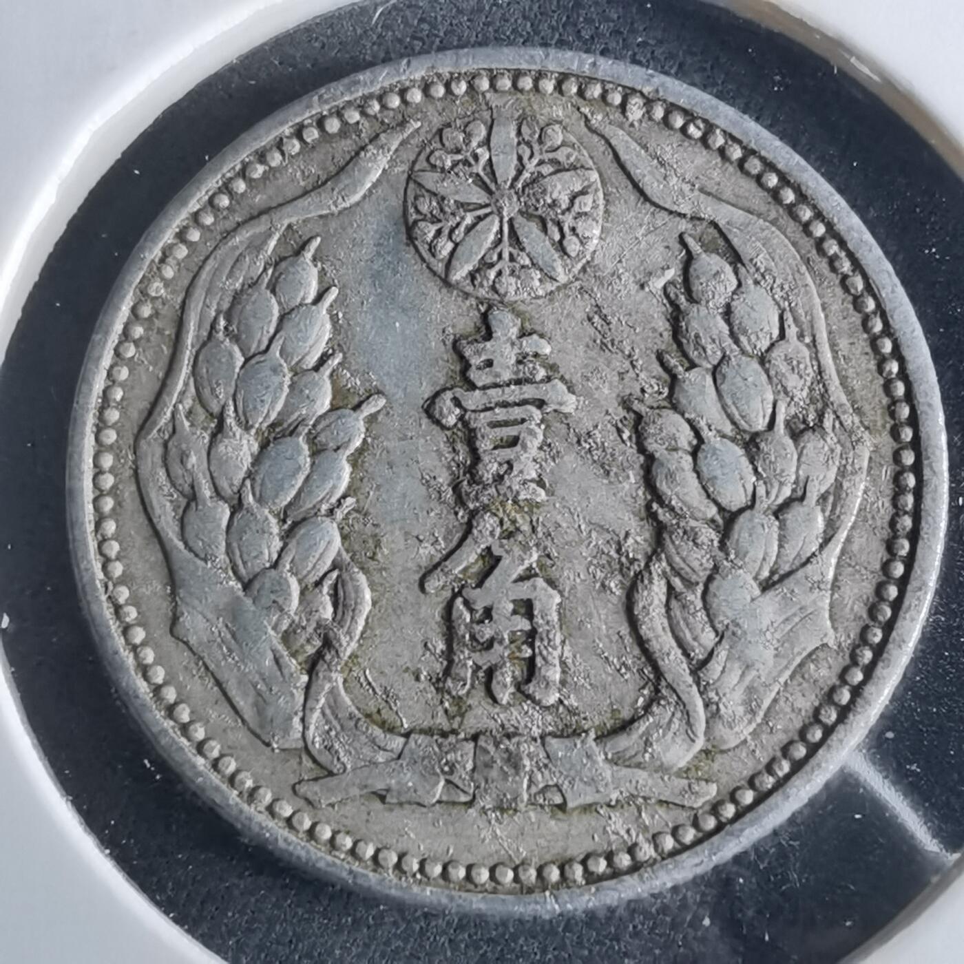 沼泽如烟--第956场