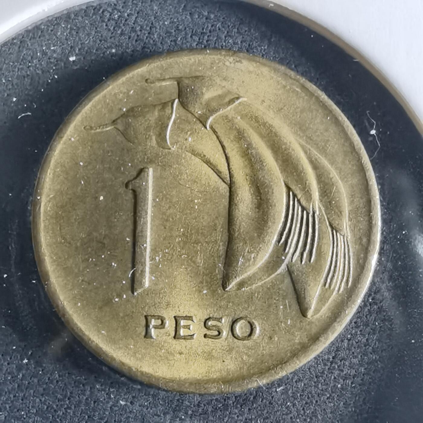 沼泽如烟--第956场