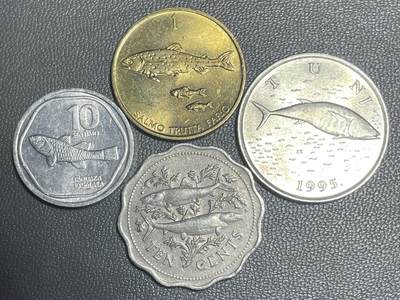 回流20260108 - 菲律宾侏儒䰾鱼、斯诺文尼亚褐鳟鱼、巴哈马骨鱼、克罗地亚金枪鱼