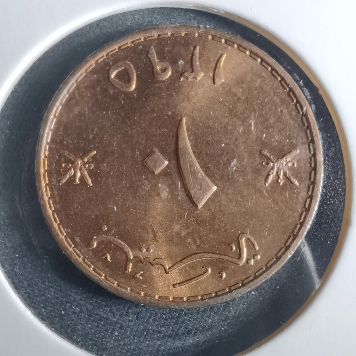 沼泽如烟--第956场