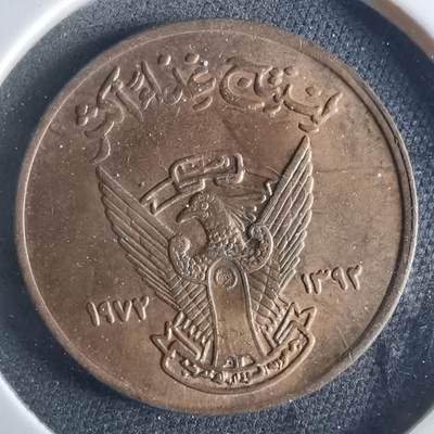 沼泽如烟--第956场 - 苏丹