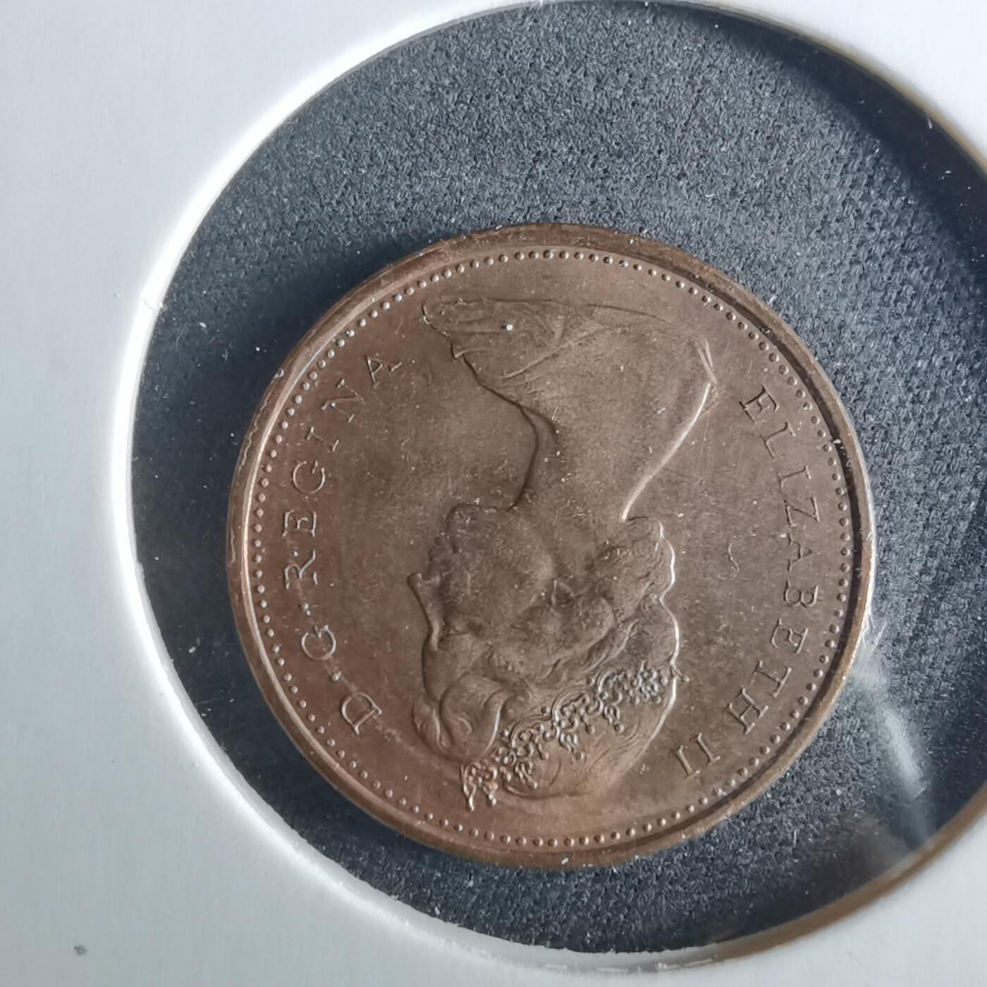 沼泽如烟--第956场