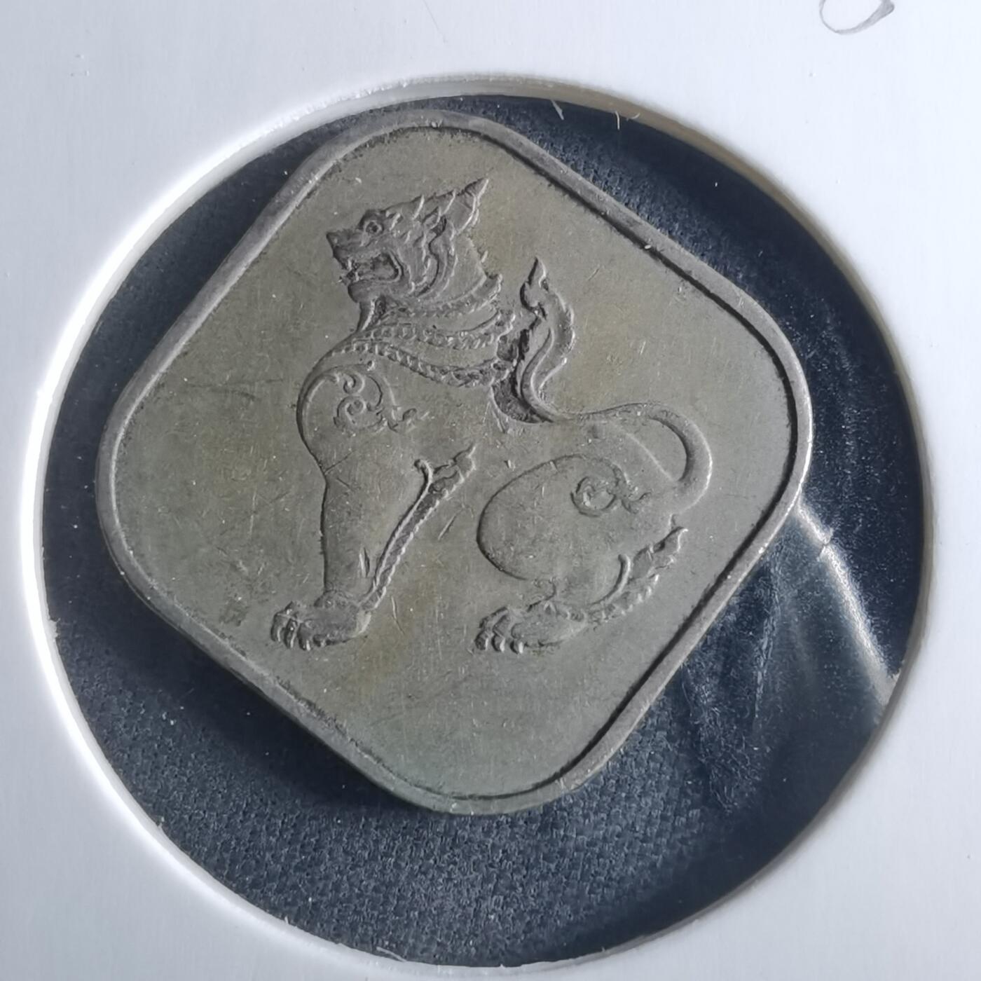 沼泽如烟--第956场