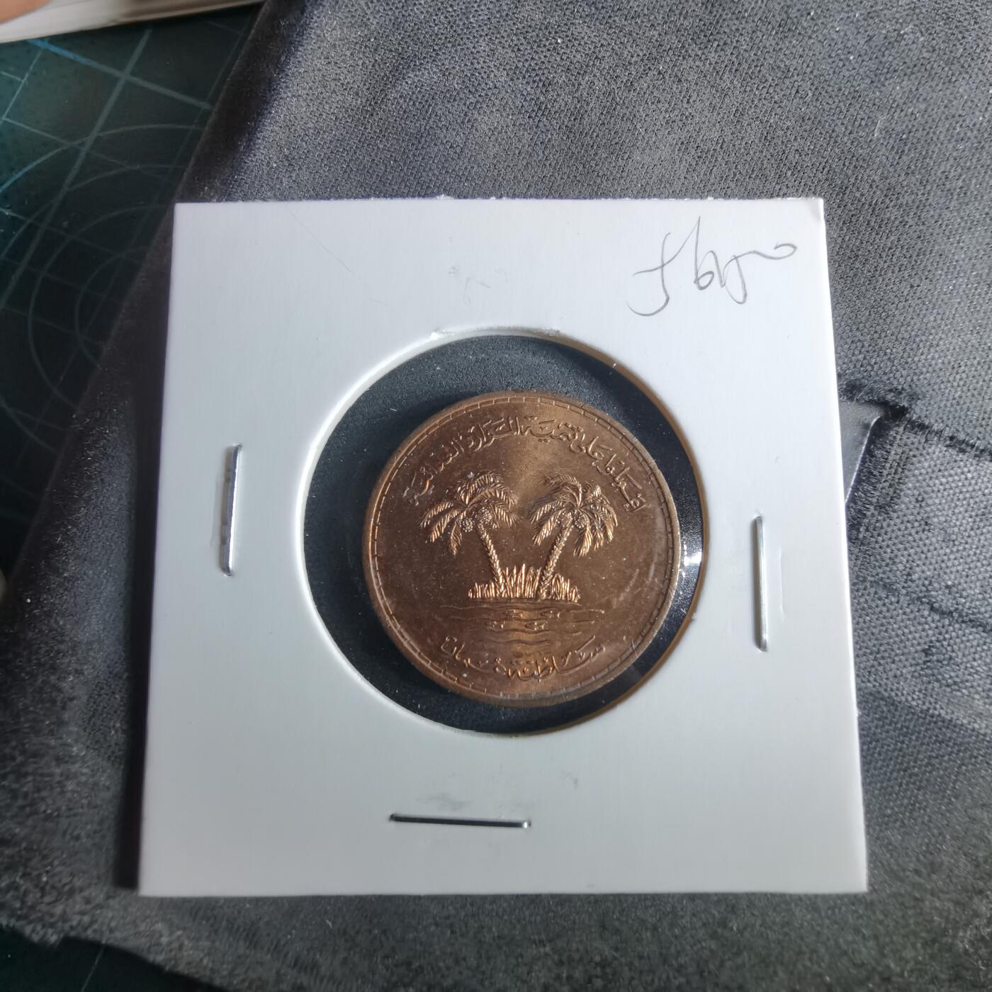 沼泽如烟--第956场