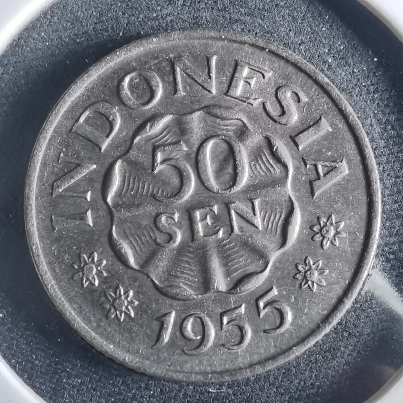 沼泽如烟--第956场 印度尼西亚1955年50分