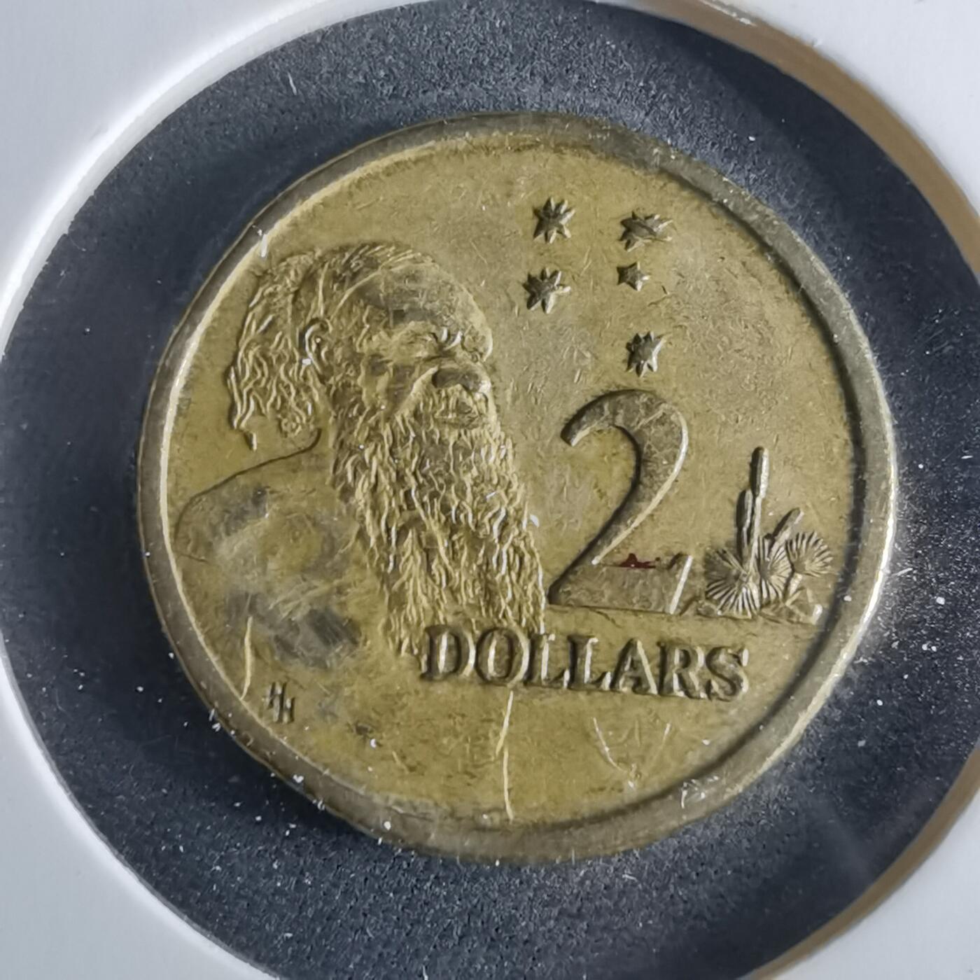 沼泽如烟--第956场