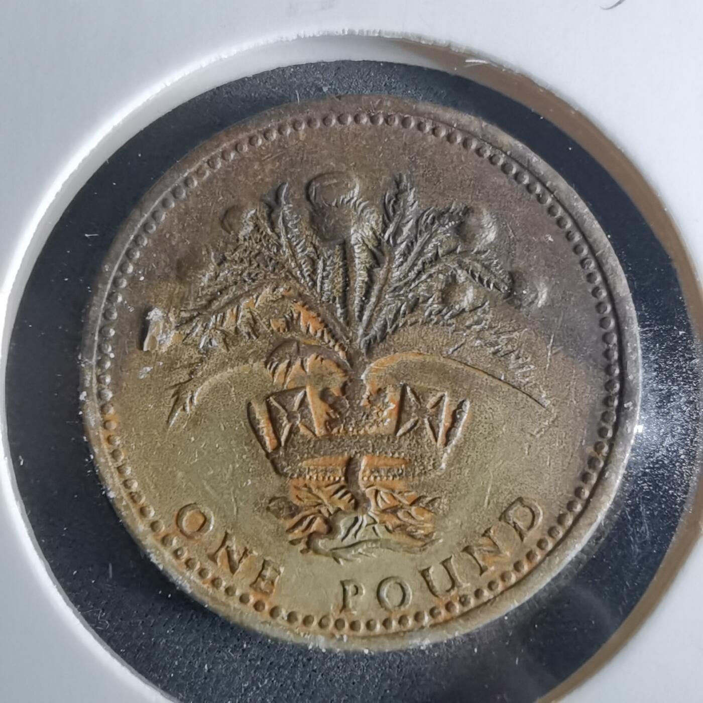 沼泽如烟--第956场 英国1984年一磅