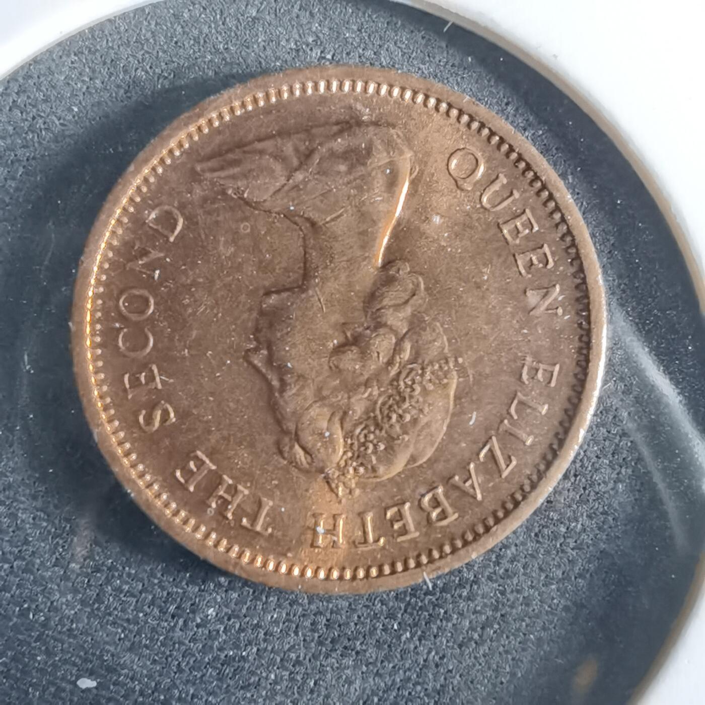 沼泽如烟--第956场