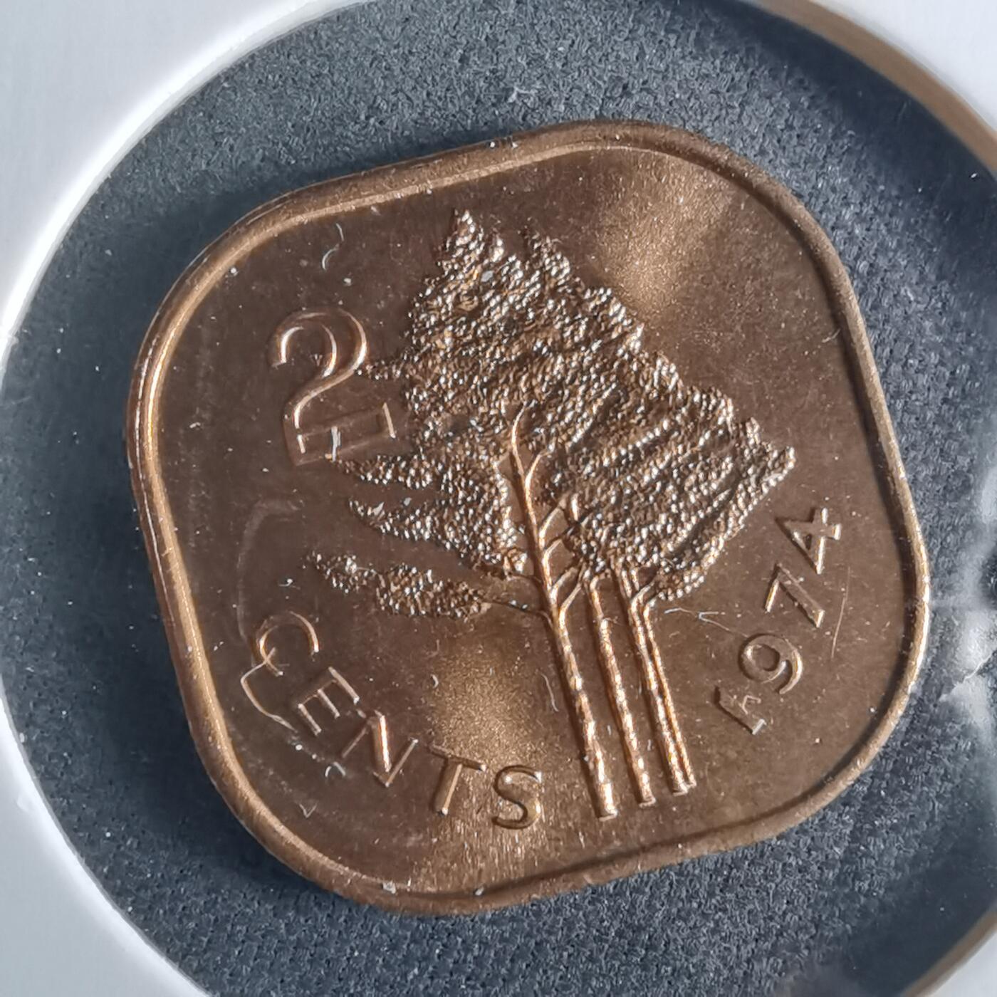 沼泽如烟--第956场