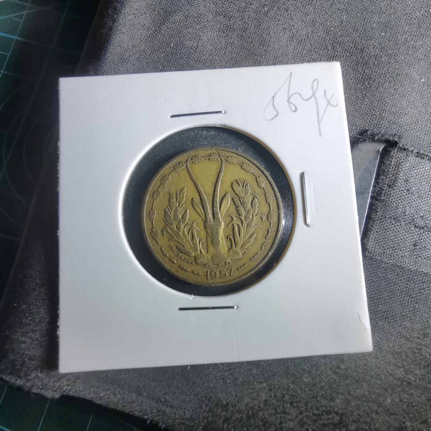 沼泽如烟--第956场