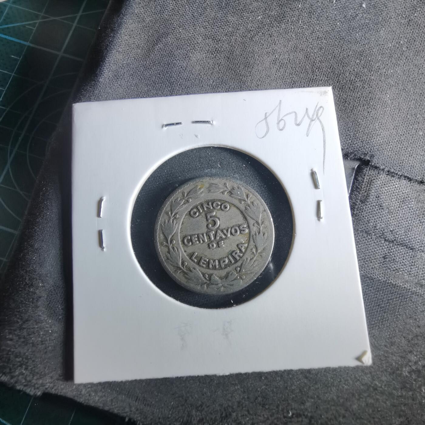 沼泽如烟--第956场