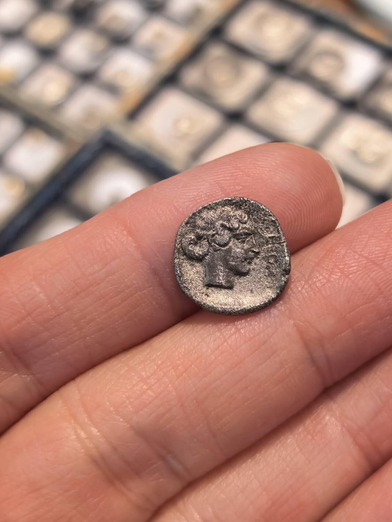 美杜莎古币仙女古币