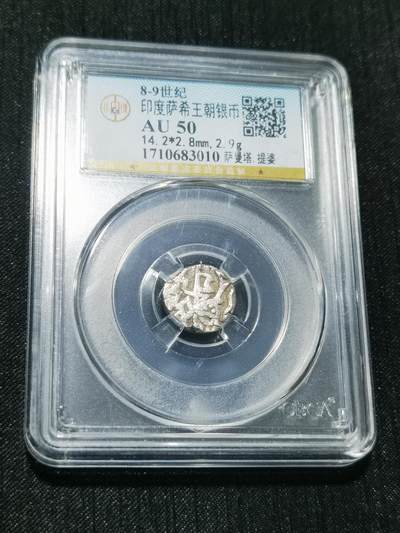 天下钱庄专场欢迎参拍 - 萨希王朝银币