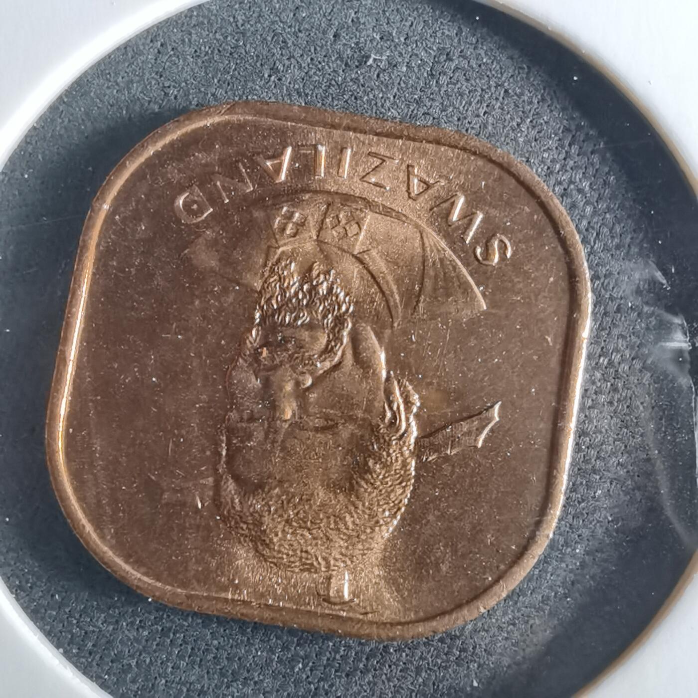 沼泽如烟--第956场