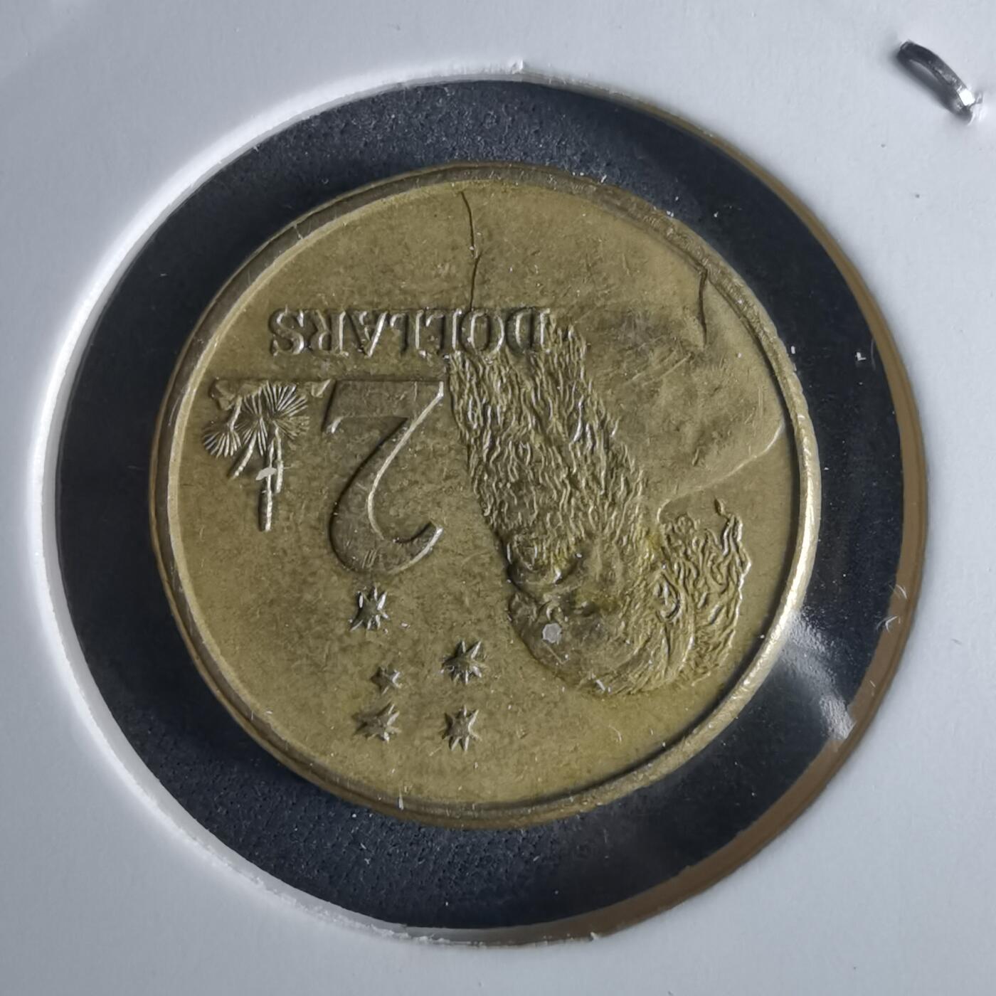 沼泽如烟--第956场