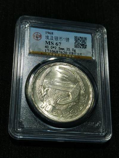 天下钱庄专场欢迎参拍 - 埃及1磅银币