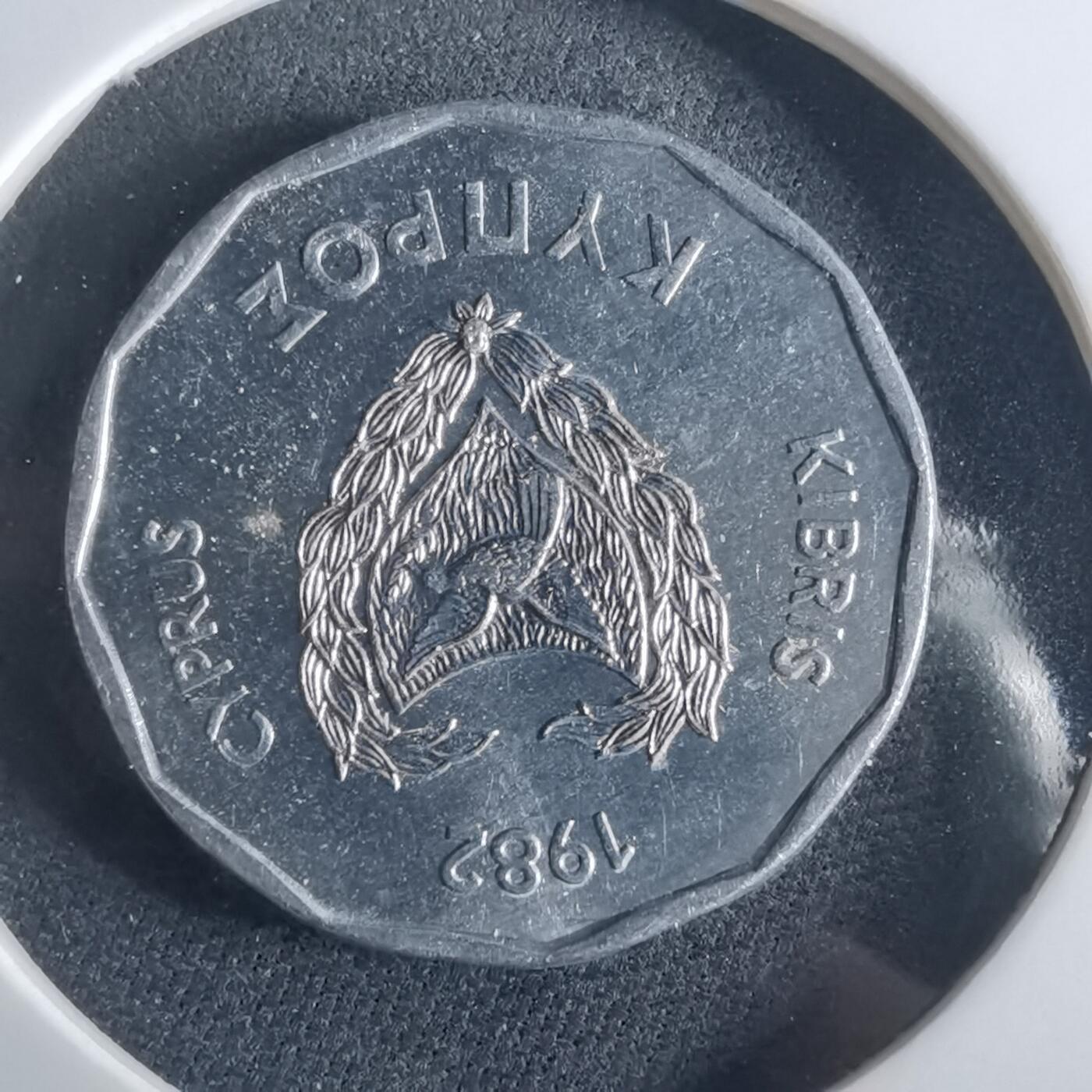 沼泽如烟--第956场