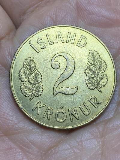 2026年第五场(总第一百七十四场）外国好品散币场(免佣金) - 冰岛🇮🇸1963年2克朗(第一套第二版)