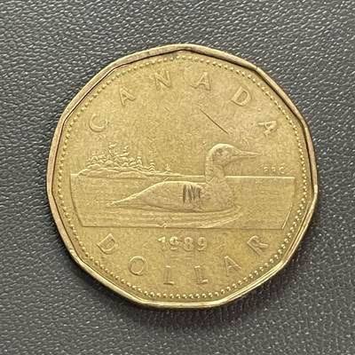 回流20260108 - 加拿大1989年1加元 潜鸟