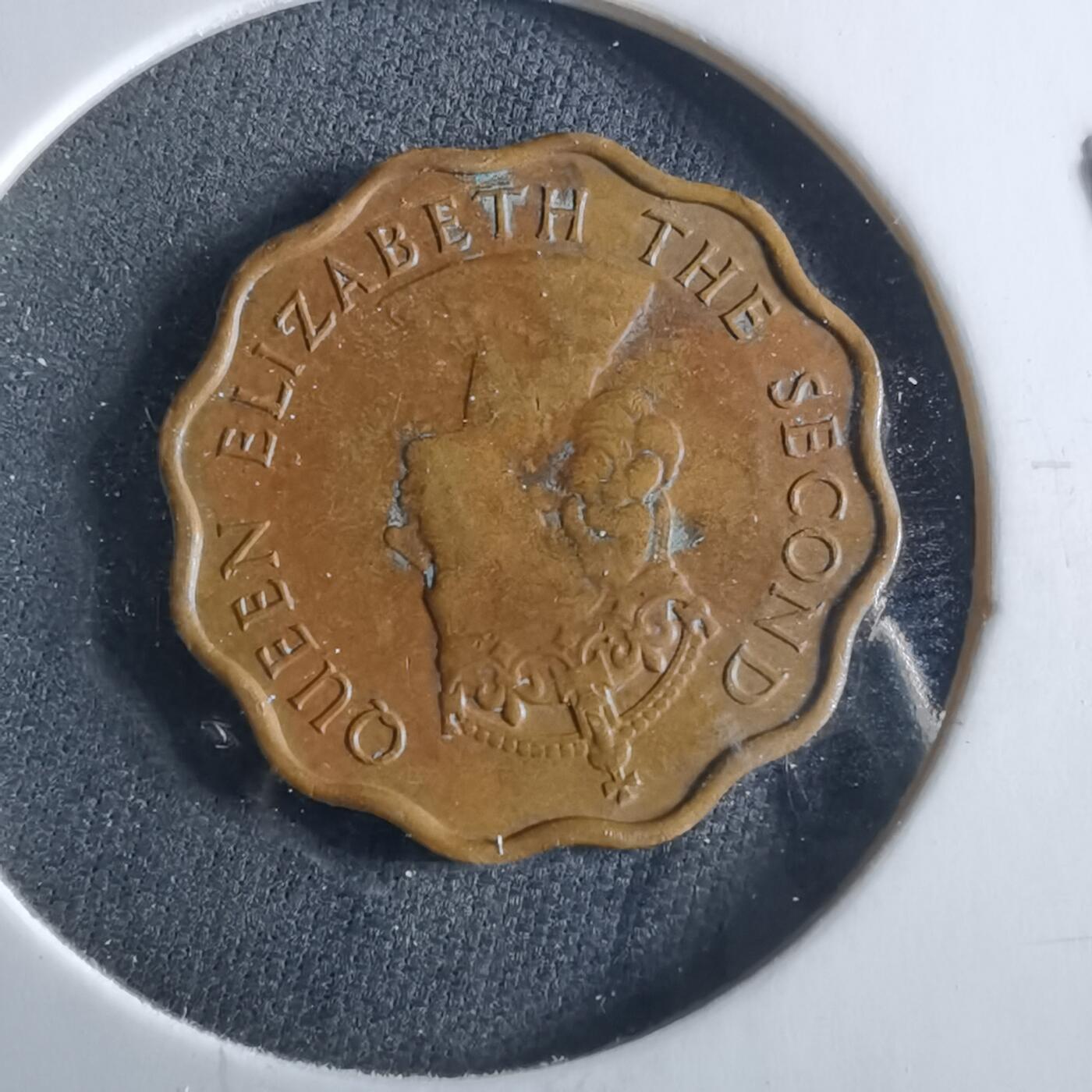 沼泽如烟--第956场