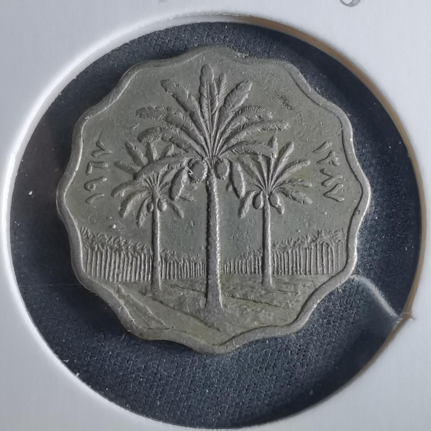 沼泽如烟--第956场