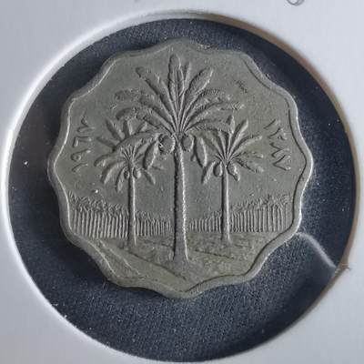 沼泽如烟--第956场 - 伊拉克