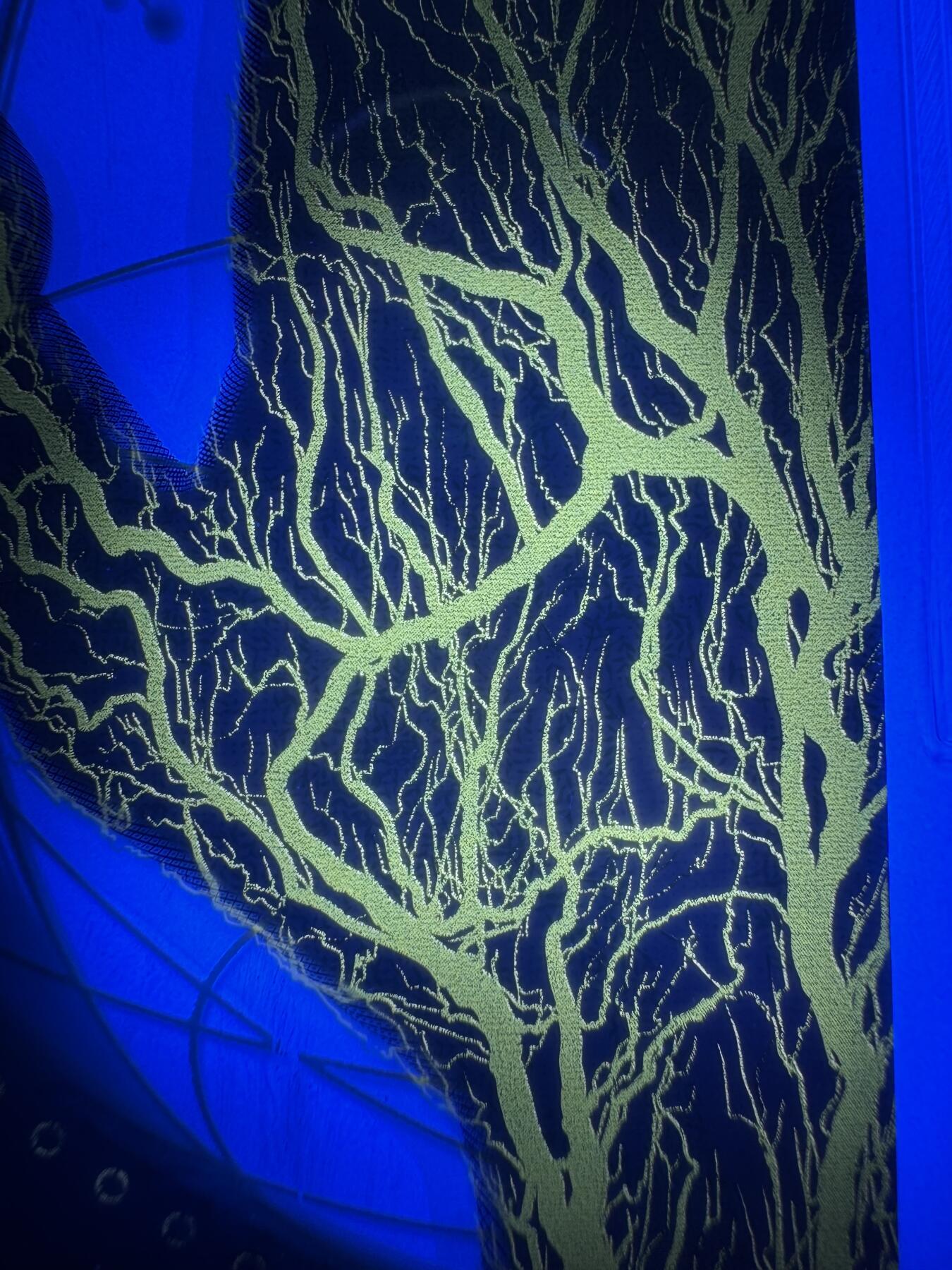 2026第1场（总第228期）：精品测试钞、外钞、塑料钞、连体钞综合场 Error同号码错误 黄色荧光/CCL塞卡瑞希 “Guardian塑料钞发行30周年～手型”塑料测试钞同号码一对（TQG66）