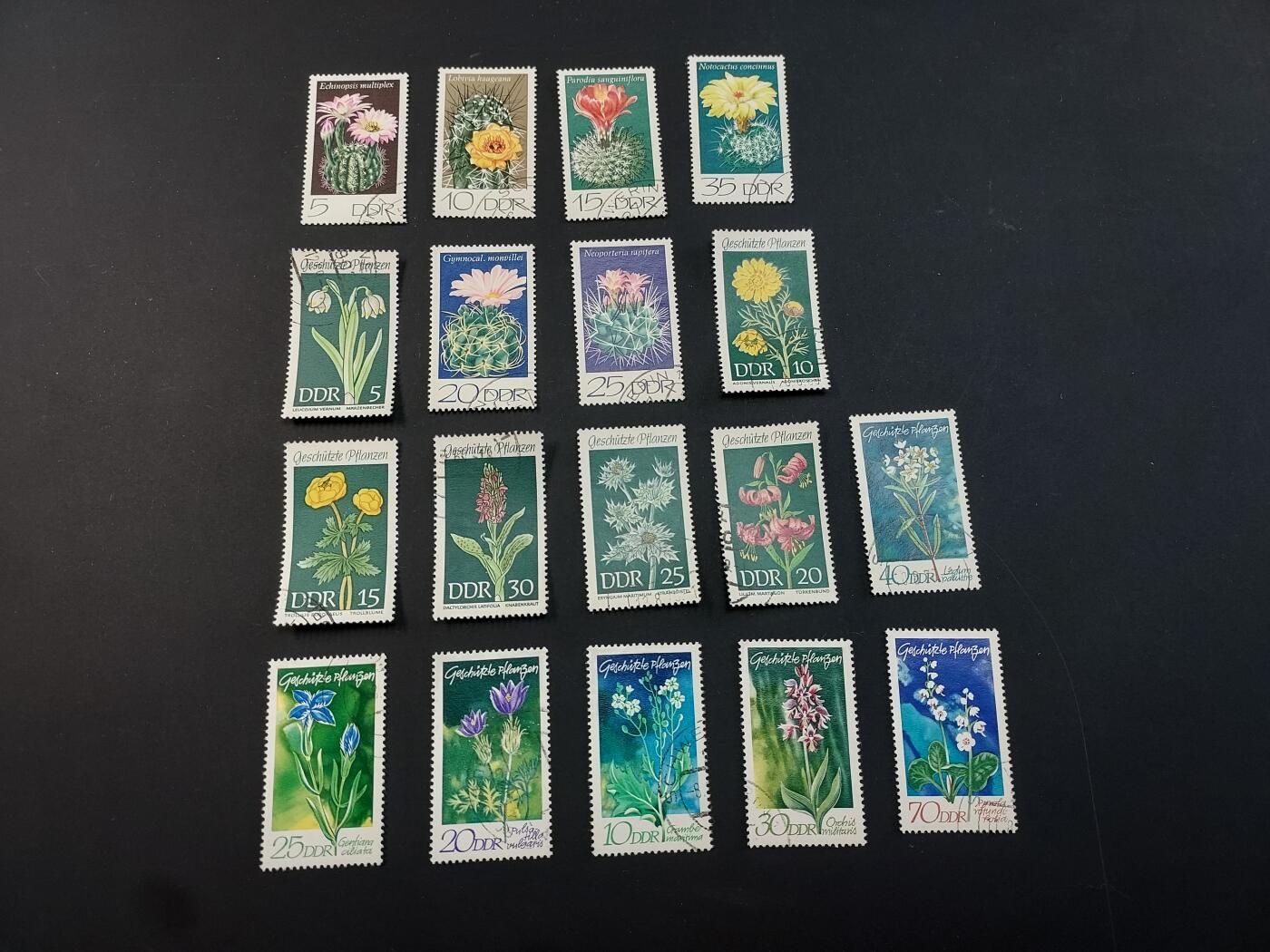 博彦收藏  TM 1月14日 8点 邮票专场 全场包邮