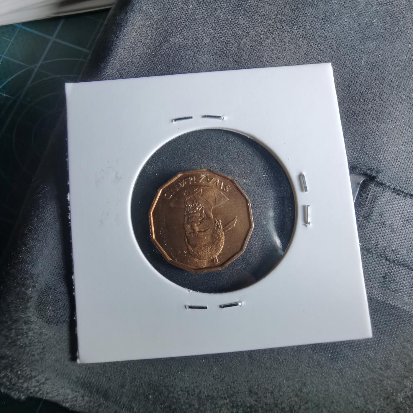 沼泽如烟--第956场