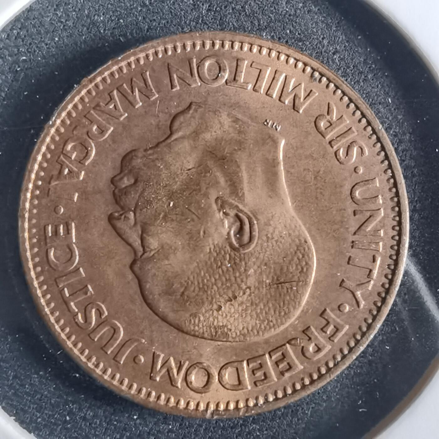 沼泽如烟--第956场